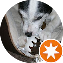 Robin Shaw Avatar